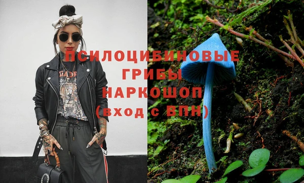 экстази Богородск