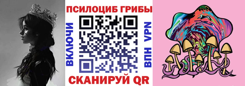 Купить закладки Баксан Псилоцибиновые грибы Cubensis
